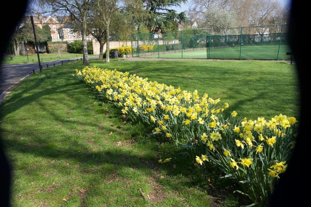 Glorious View Over The Park Londres Exterior foto